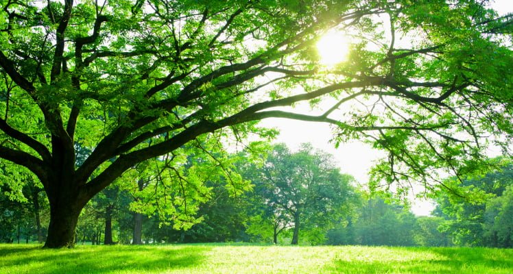 大成温調のサステナビリティ<